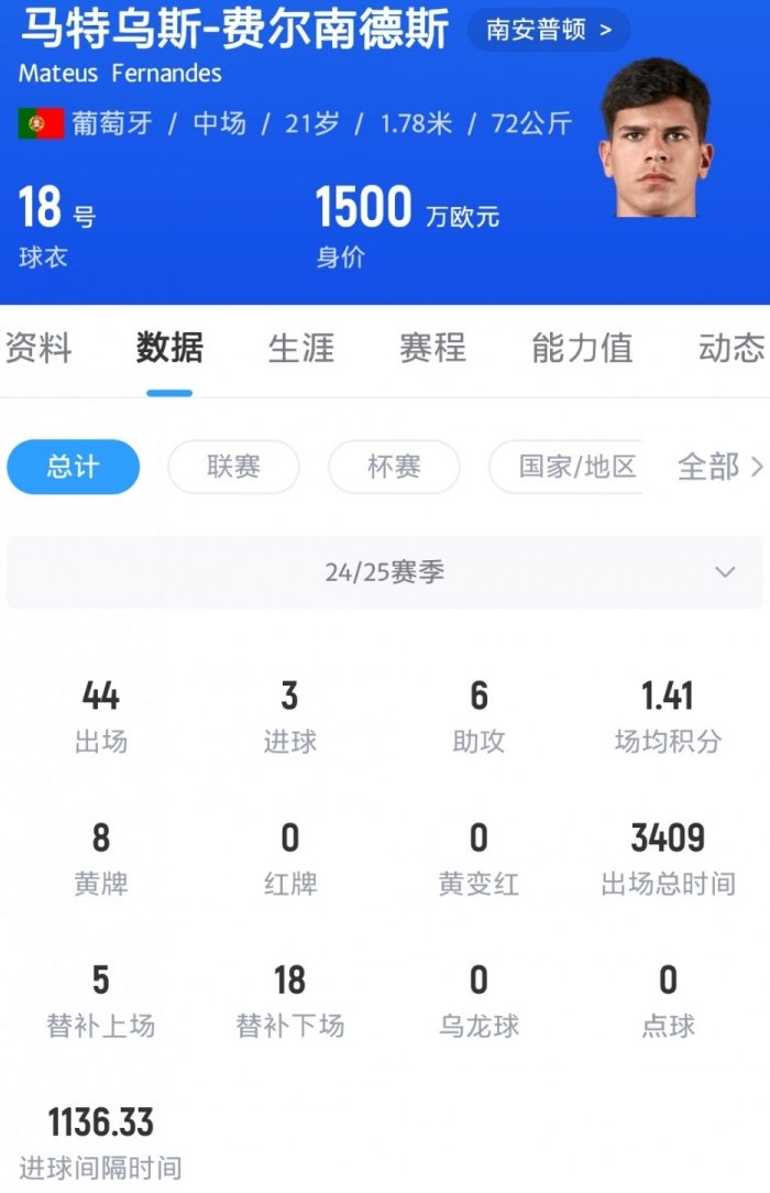 马特乌斯-费尔南德斯在比赛中